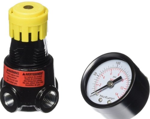 PLEWS Tru Flate 24-444 Mini Air Regulator & Gauge 1/4 Inch NPT