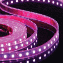 3 Meter, PINK LED STRIP 10mm wide 60 LEDs PER Meter- SMD 5050